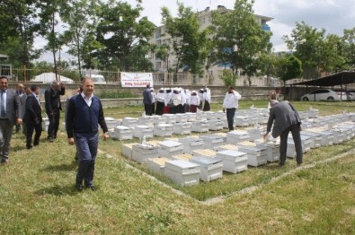 Kadın Kursiyerlere Arı Kovanı Dağıtıldı
