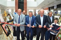 BEZ BEBEK - Tatvan'da Resim Sergisi