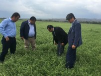 Çiftçiyi Yine Dolu Vurdu