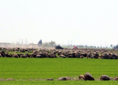 Kilis, 18 Gün Aradan Sonra Roketli Saldırının Şokunu Yaşıyor