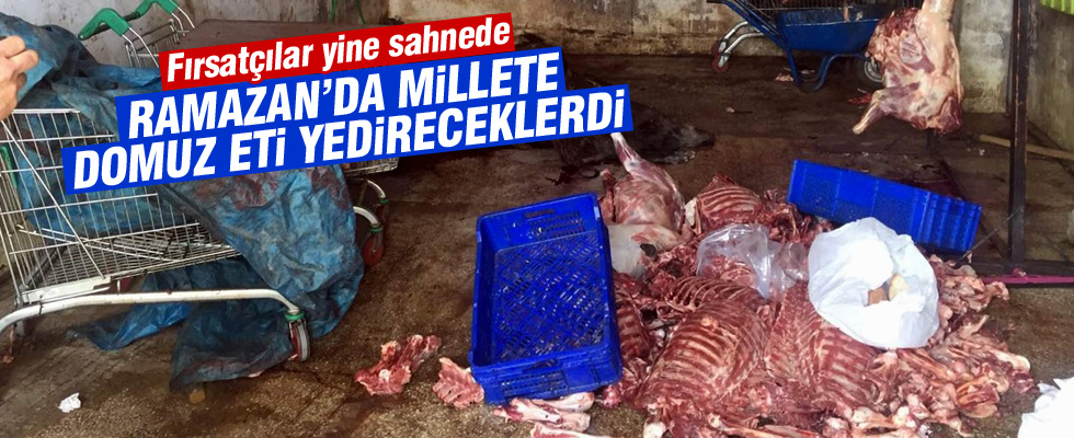 5 ton 'Domuz Eti' ele geçirildi