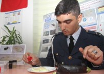 DENİZ KİRLİLİĞİ - Denizlerin Fatihi Patlıcan Olacak