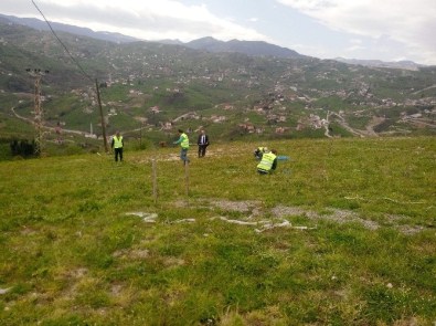 Trabzon Büyükşehir Belediyesi 5 Ayrı Arazide Defin Hizmeti Veriyor