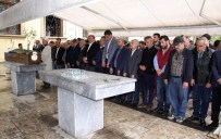 AK Parti Milletvekilinin Yeğeni Toprağa Verildi