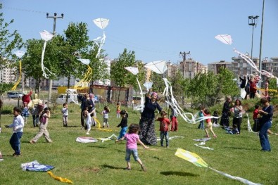 Belediyenin Gezi Etkinlikleri Sürüyor