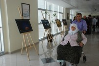 MUSTAFA KıLıÇ - Hastalara Stres Attıran Sergi