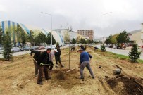 SMART - Kavşak Ve Orta Refüjlere Yeni İmaj