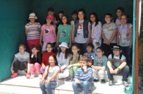 DARICA HAYVANAT BAHÇESİ - Kocaeli Büyükşehirli Judocular Hayvanat Bahçesini Gezdi