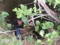 Kuyuya Düşen Kuzuya Kurtarma Operasyonu