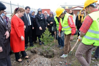Sarıkamış'ta AK Kadınlar Fidan Dikti