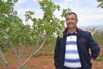 TİLLO - Siirtli Çiftçiler Zarar Tespiti Yapılmasını İstiyor