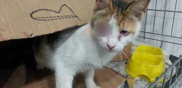 Şüpheli paketten çıkan herkesi şaşırttı!