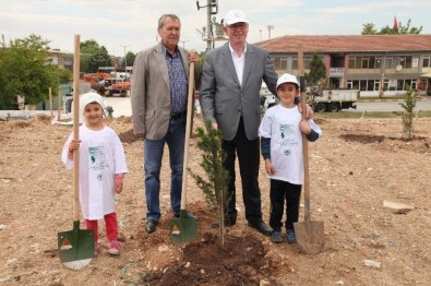 Ahşap Heykel Festivali Kapsamında Özgürlük Ormanı Oluşturuldu