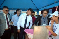 MUSTAFA KARAMAN - Başkan Ümmet Akın, TÜBİTAK 4006 Bilim Fuarını Gezdi