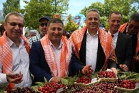 ORGANİK PAZARI - Belenbaşı'nın Kirazları 12. Kez Görücüye Çıktı