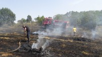 BALıKLıÇEŞME - Biga'da Ot Yangını