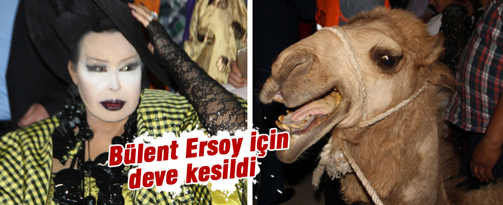 Bülent Ersoy için deve kestiler