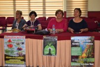 Çevreciler Yenice'de Buluşacak