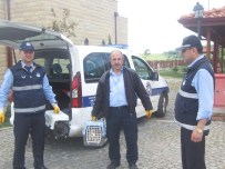 SOKAK KÖPEKLERİ - Körfez'de Sokak Hayvanlarına Yardım Eli