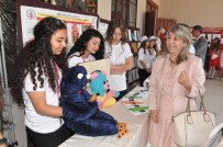 GRAFIK TASARıM - Lisede Bilim Fuarı Açıldı