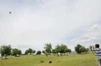 UÇURTMA ŞENLİĞİ - Mutki'de Uçurtma Şenliği