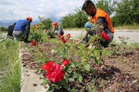 Refüjlerde Temizlik Ve Düzenleme Çalışmaları