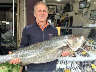 Taş Balığı Görenleri Şaşırttı