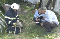 Yaralı Kuzuya İtfaiye Şefkati