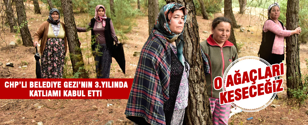 CHP'li belediye 8 hektarlık alanda ağaç kesimi yapacak