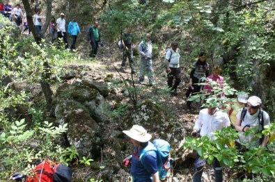 Osmaneli'de Çevrecilik Günü Doğa Yürüyüşü