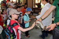 DÜNYA ÇEVRE GÜNÜ - Piton Sever Çocuklar