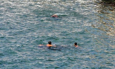 Sıcak Hava Bunalttı