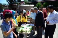 İMAM HATİP OKULU - 'Spor Branşlarını Maketle Öğreniyorum' Sergisi