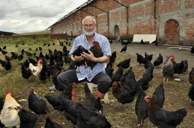 Yediği yumurtaları beğenmeyip tavuk çiftliği kurdu