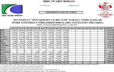 475 Bin Ton Fındık Pazara İndi