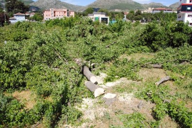 Amasya'da Parka Akaryakıt İstasyonu Davasında Karar