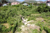 AKARYAKIT İSTASYONU - Amasya'da Parka Akaryakıt İstasyonu Davasında Karar