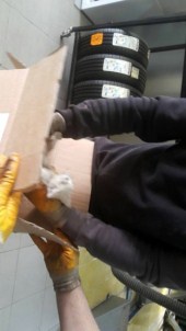 Aracına Sıkışan Kedi İçin Çekici Çağırdı