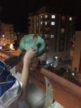 Kilis'te Tencere Ve Tavalı Roket Protestosu