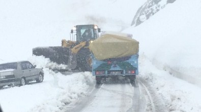Van'da Kar Yağışı