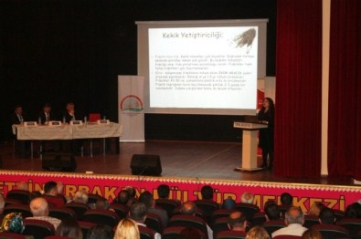 Tıbbi Ve Aromatik Bitkiler Yetiştiriciliği Paneli