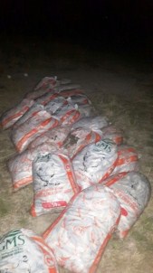 Van'da Kaçak Balık Operasyonu