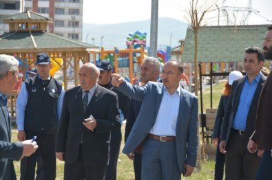 Başkan Köksoy'dan Fidan Talimatı
