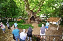 İNGILIZLER - İngilizler Bodrum'un Güzelliklerini Dillerinden Düşürmüyor