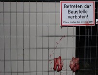 İSLAMAFOBİ - Avusturya'da camiye 'domuzlu' saldırı