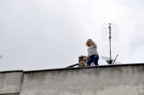 Çatıya Çıkan Kadını Kurtarmak İsteyen Polis Yaralandı