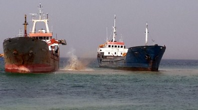 Çınarcık Sahil Dolgusu Devam Ediyor