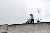 Elinde Bıçakla Çatıdan Atlamaya Kalkan Genç Kadını Kurtarmak İsteyen Polis Yaralandı