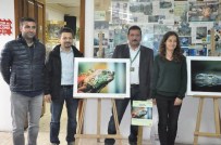 DARICA HAYVANAT BAHÇESİ - Hayvanat Bahçesinde 'Doğa Ve Sanat' Sergisi