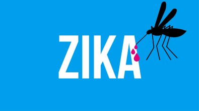 İspanya'da 'Zika' Paniği